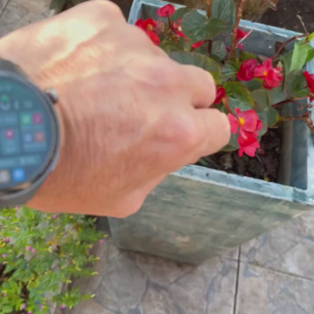 Smartwatch  Classic